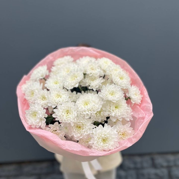  5 хризантем  с доставкой в Петропавловске-Камчатском