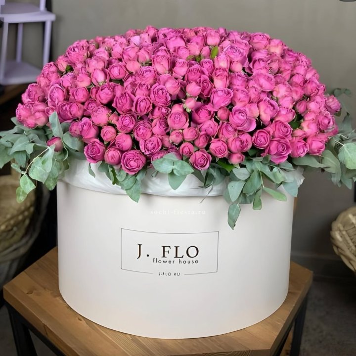 Цилиндр с Мисти Бабблс  в Петропавловске-Камчатском