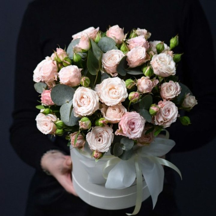 Бомбастик бокс №2 в Петропавловске-Камчатском