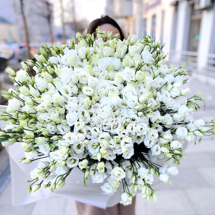 101 белая эустома в Петропавловске-Камчатском