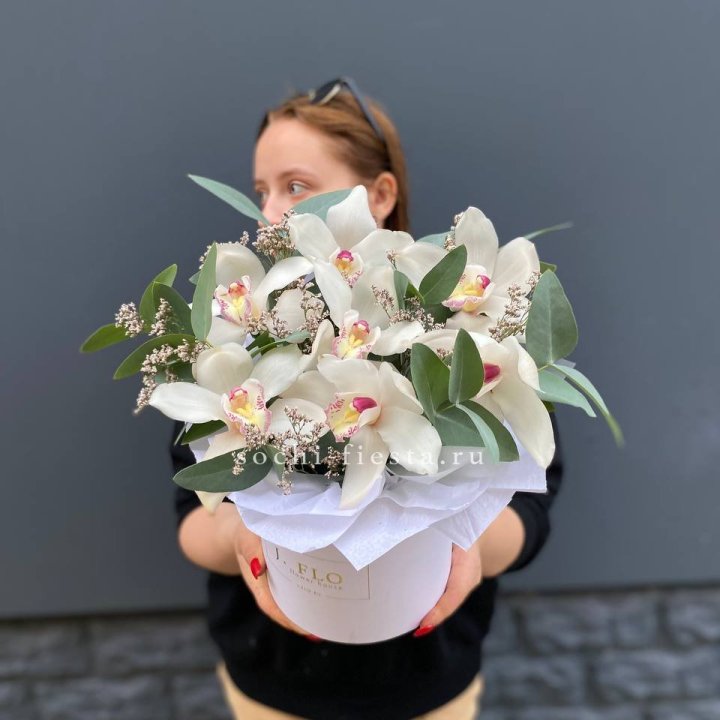 7 орхидей в боксе в Петропавловске-Камчатском